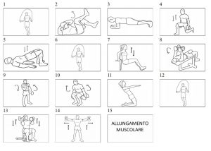 Schede allenamento palestra gratis